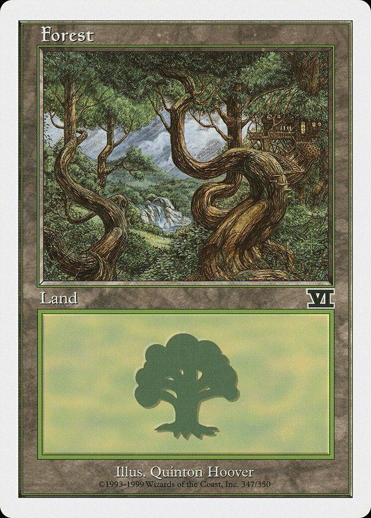 Forest #347