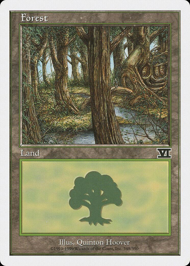 Forest #348