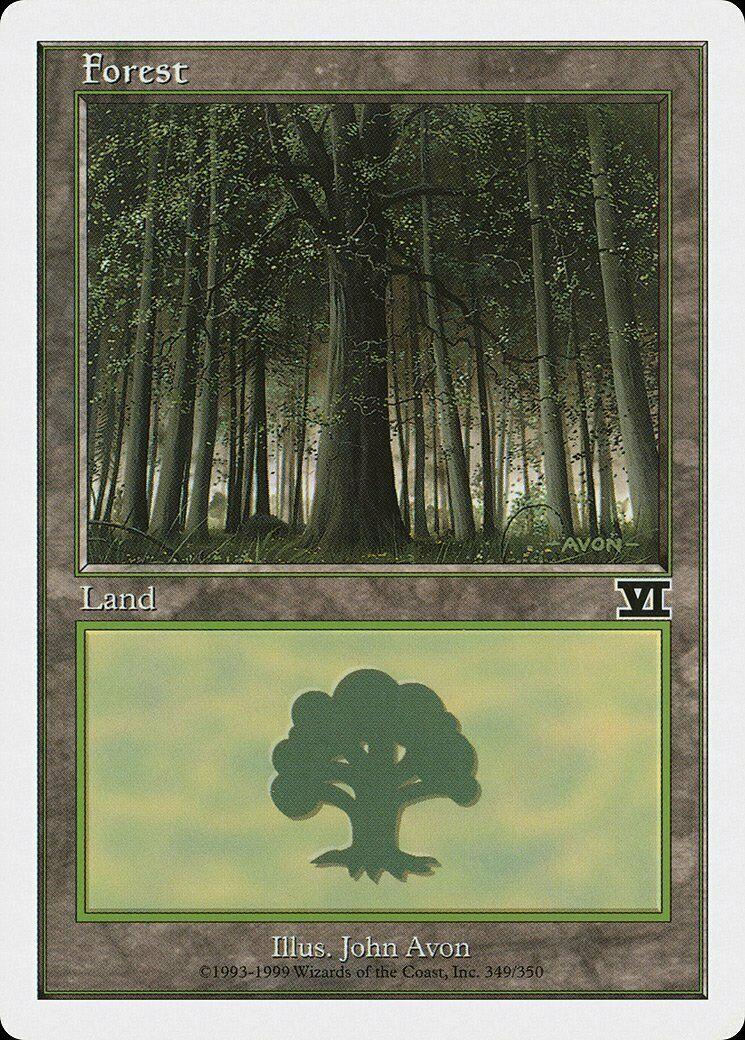 Forest #349