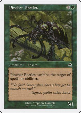 Pincher Beetles