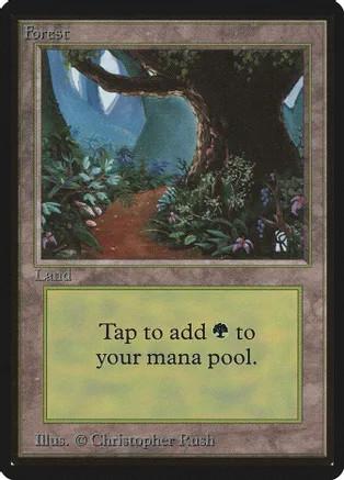 Forest [B]