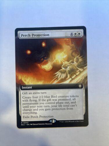 Perch Protection #47
