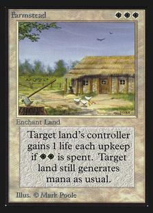 Farmstead #20
