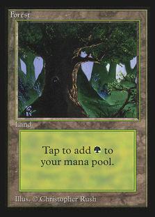 Forest [302] #302