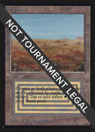 Scrubland #282
