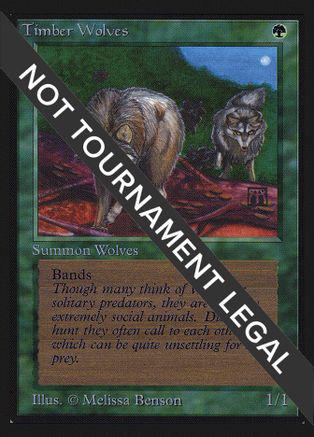 Timber Wolves #220
