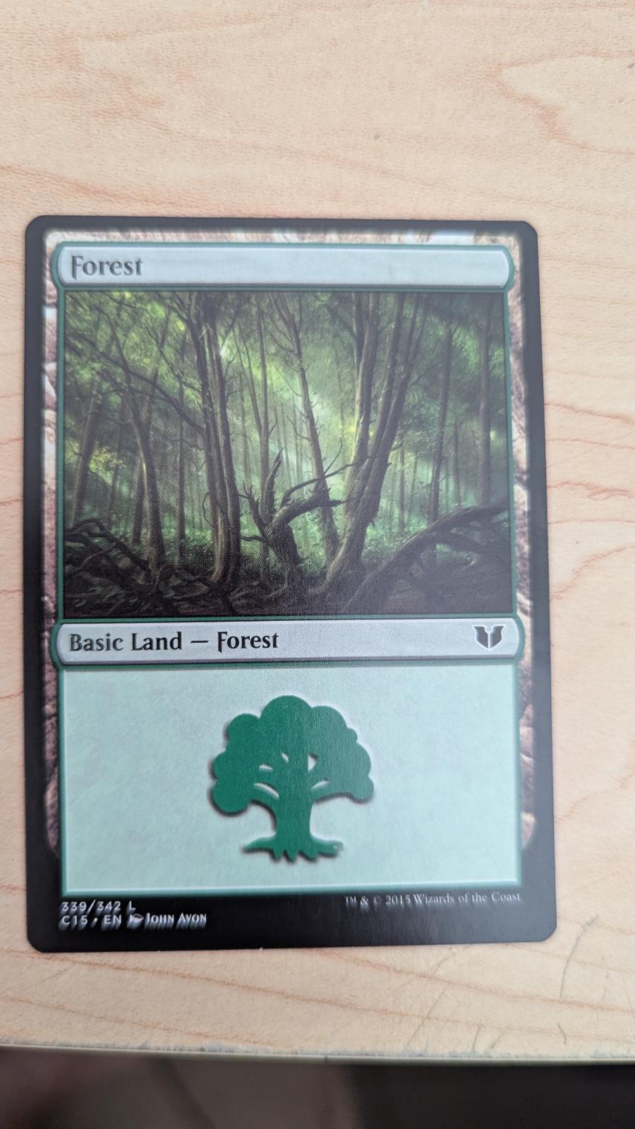 Forest #339