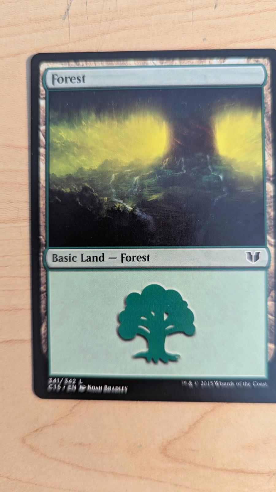Forest #341