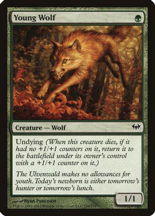 Young Wolf [Foil] #134