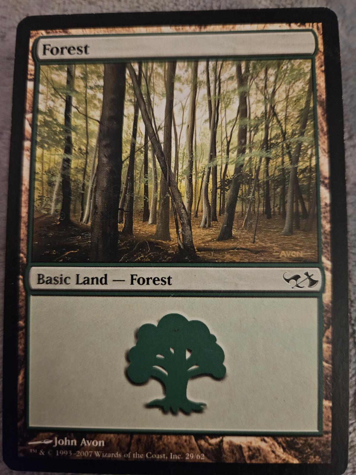 Forest #29