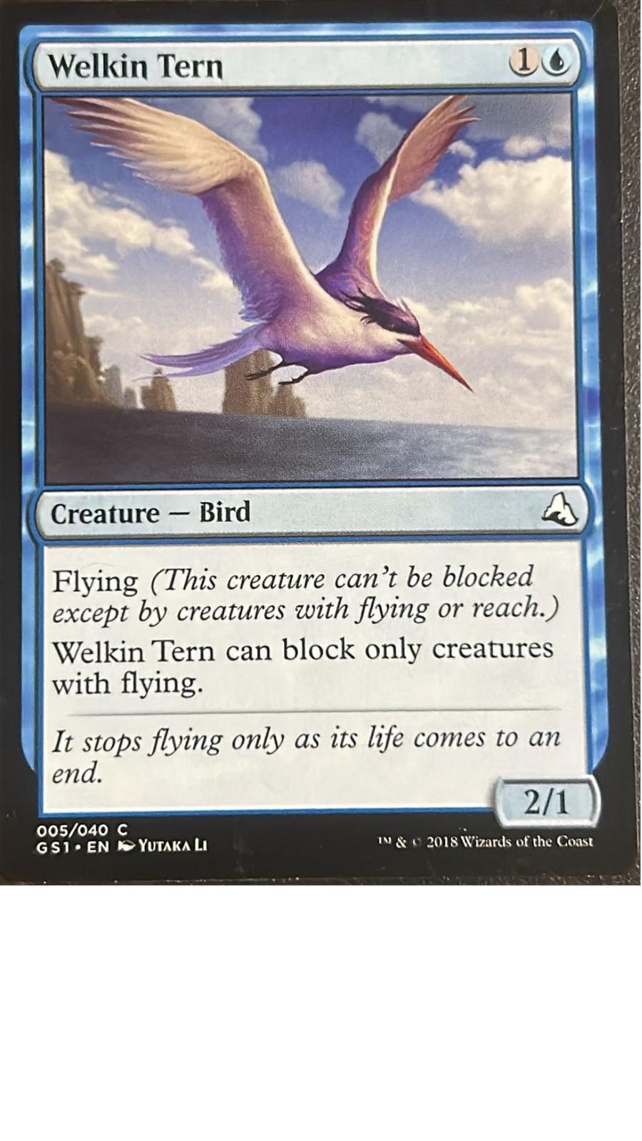 Welkin Tern #5
