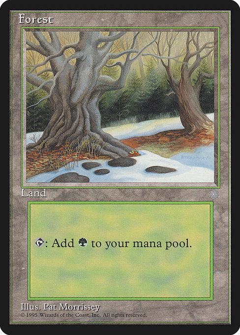 Forest [C]