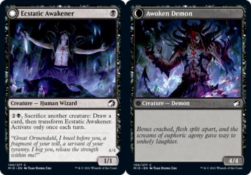 Ecstatic Awakener & Awoken Demon #100
