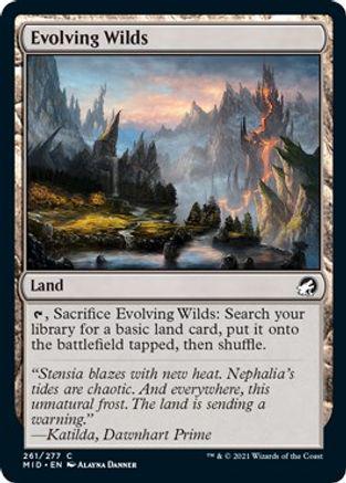 Evolving Wilds [Foil] #261