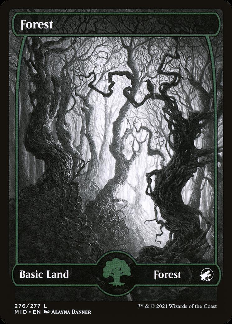 Forest #276