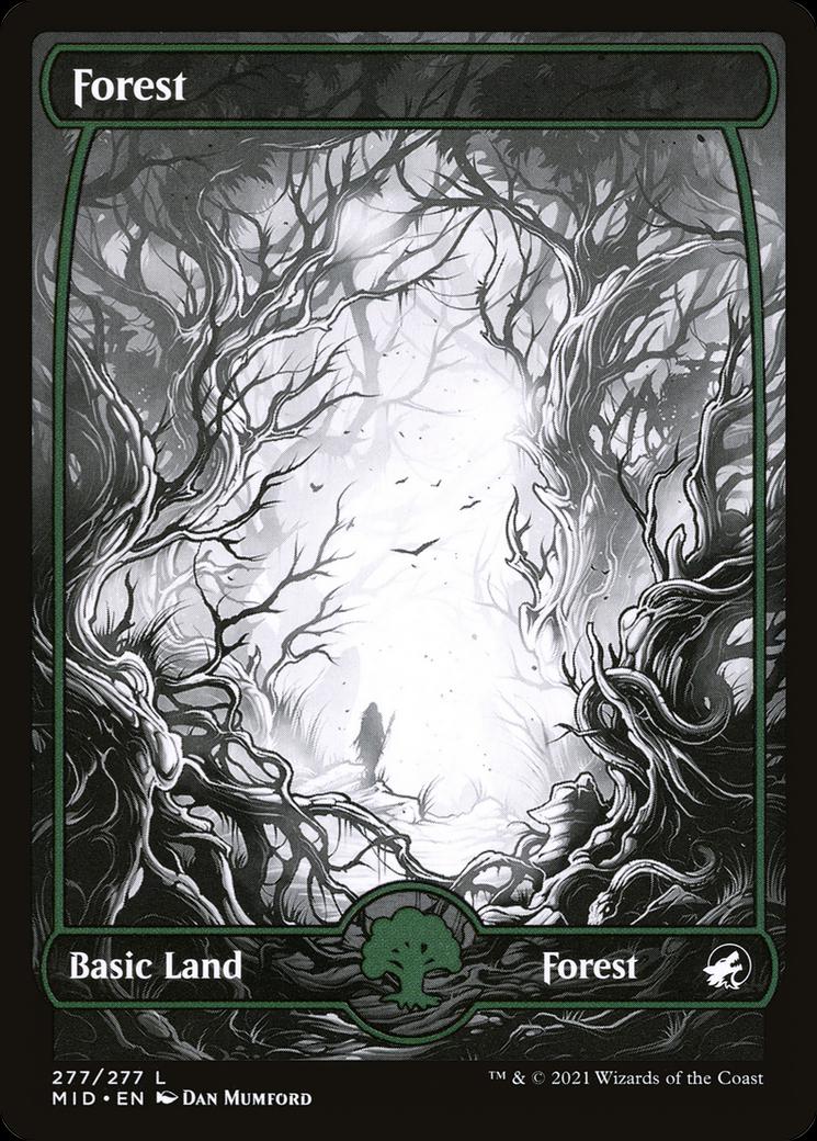 Forest [Foil] #277