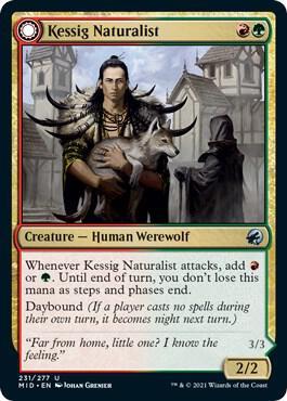 Kessig Naturalist & Lord of the Ulvenwald #231