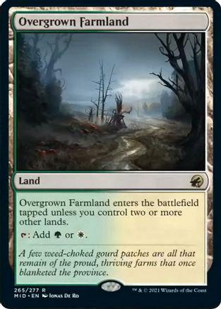 Overgrown Farmland #265