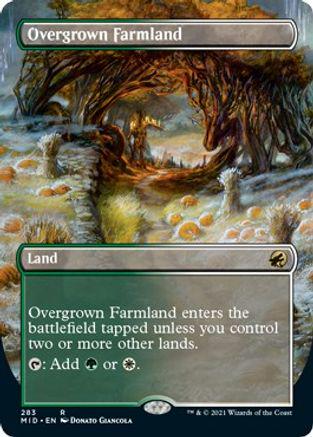 Overgrown Farmland [Borderless] #283
