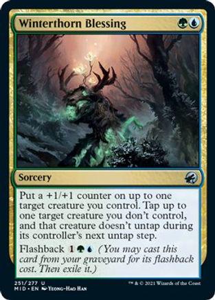 Winterthorn Blessing #251