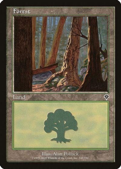 Forest #348