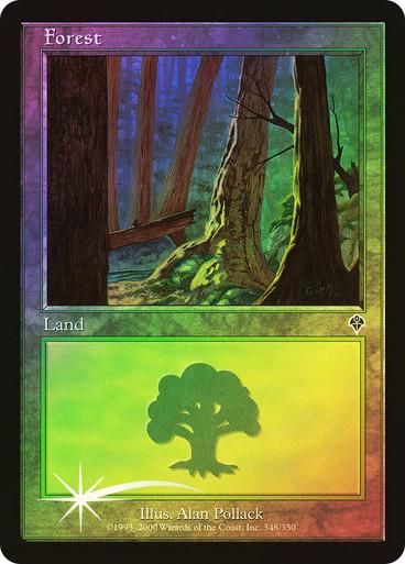 Forest [Foil] #348