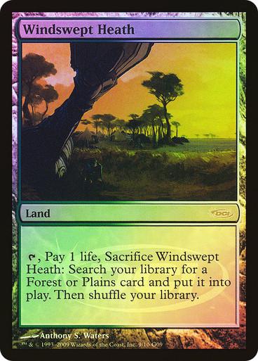 Windswept Heath