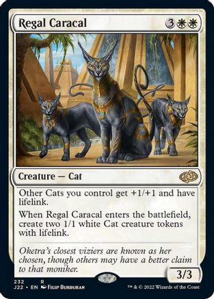 Regal Caracal #232