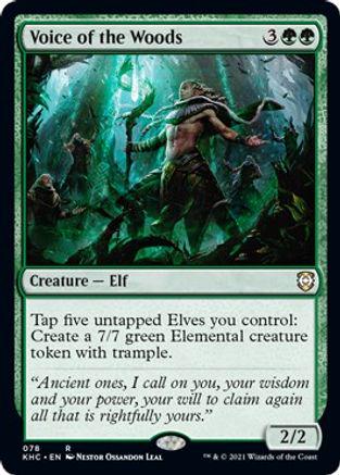 Voice of the Woods
