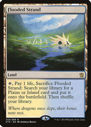 Flooded Strand [Foil] #233
