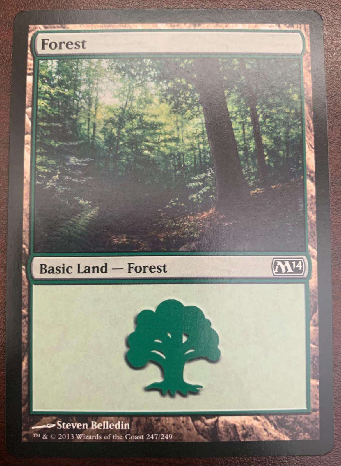 Forest #247