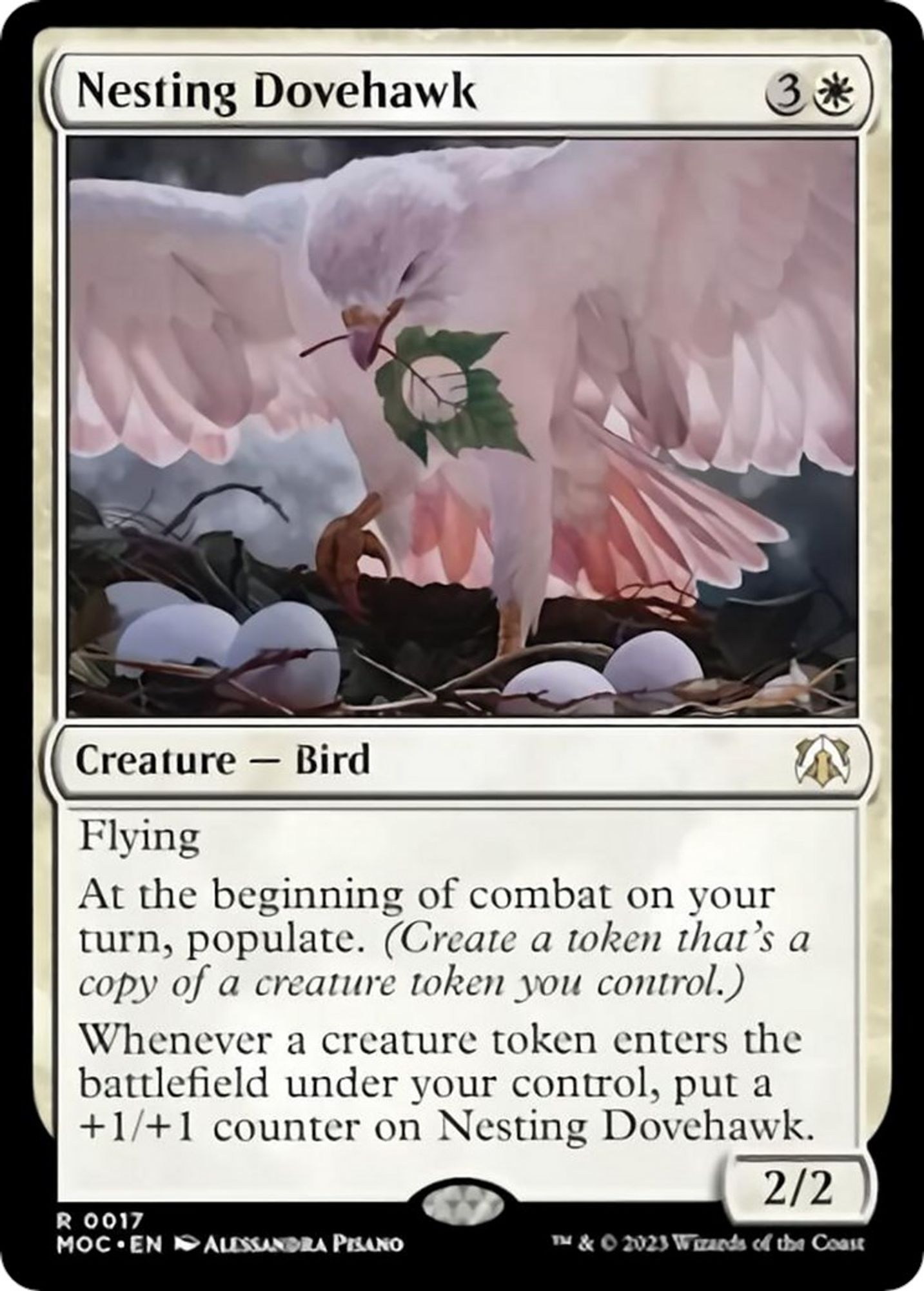 Nesting Dovehawk #17