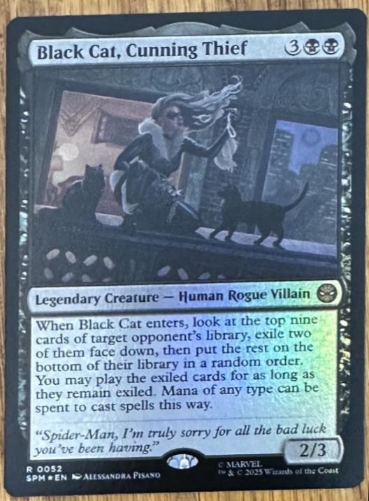 Black Cat, Cunning Thief [Foil] #52