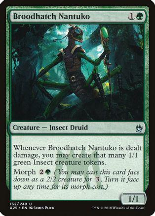 Broodhatch Nantuko [Foil]
