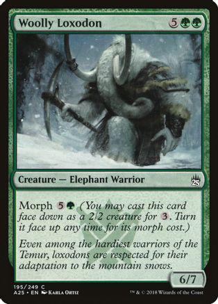 Woolly Loxodon #195