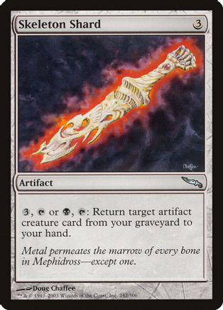 Skeleton Shard #242