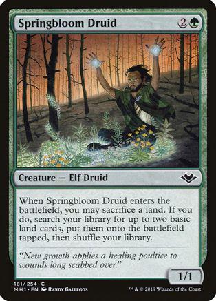 Springbloom Druid [Foil]