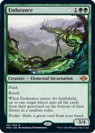 Endurance #157