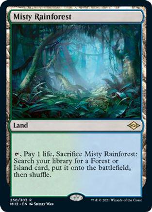 Misty Rainforest #250