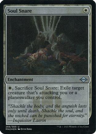 Soul Snare #266