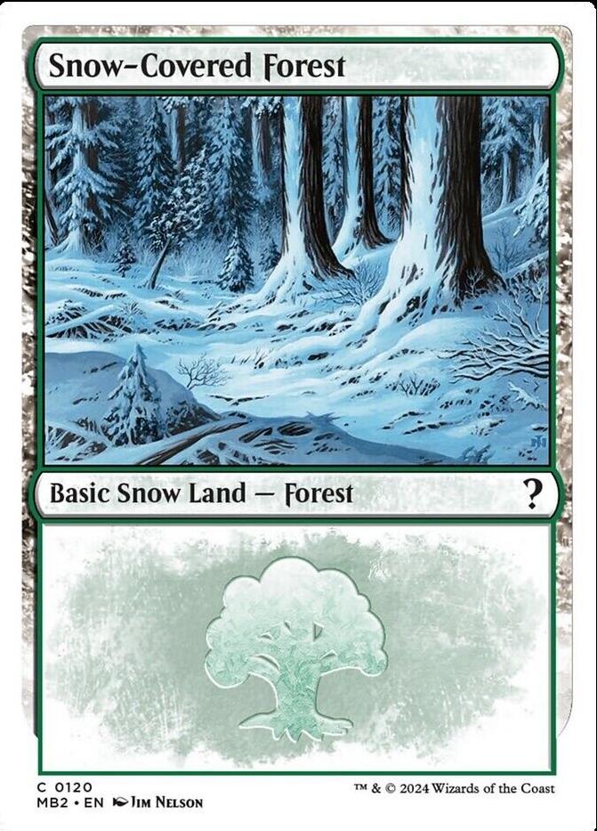Snow-Covered Forest #120