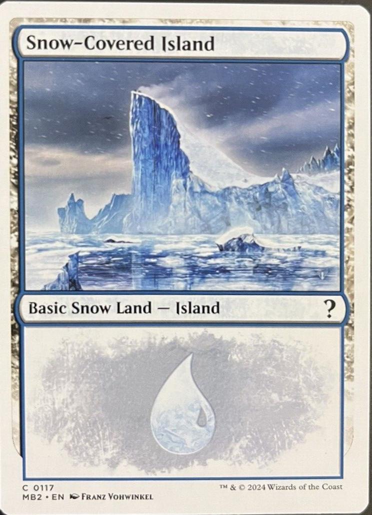 Snow-Covered Island #117