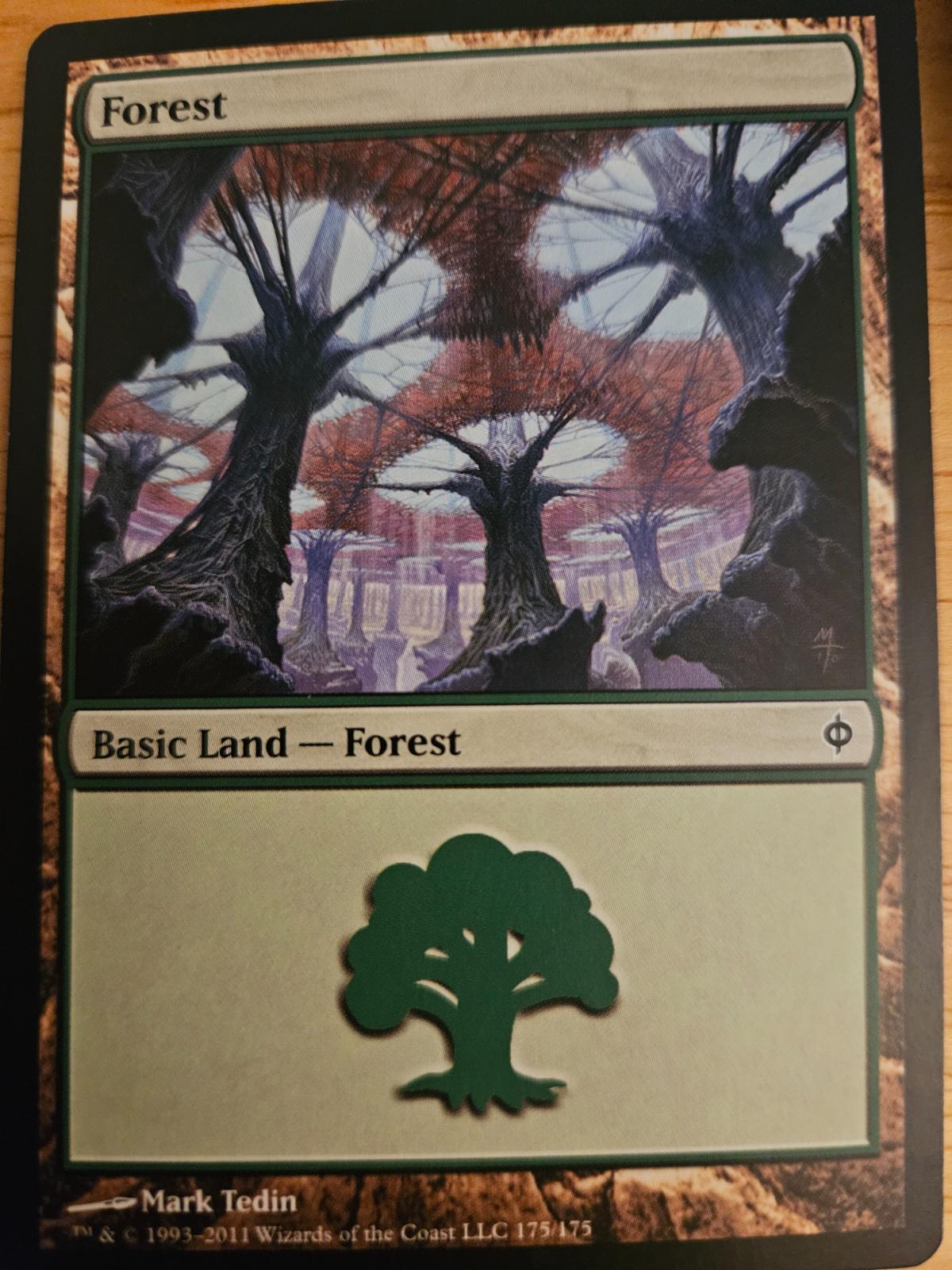 Forest #175