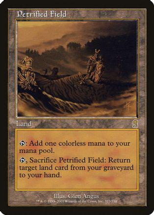 Petrified Field #323