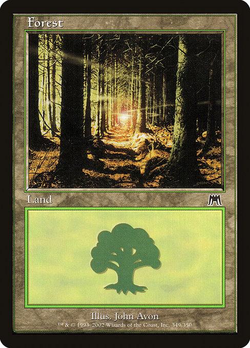 Forest #349