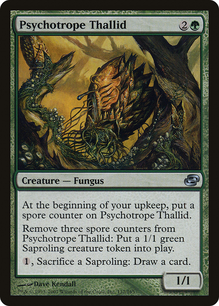 Psychotrope Thallid #137