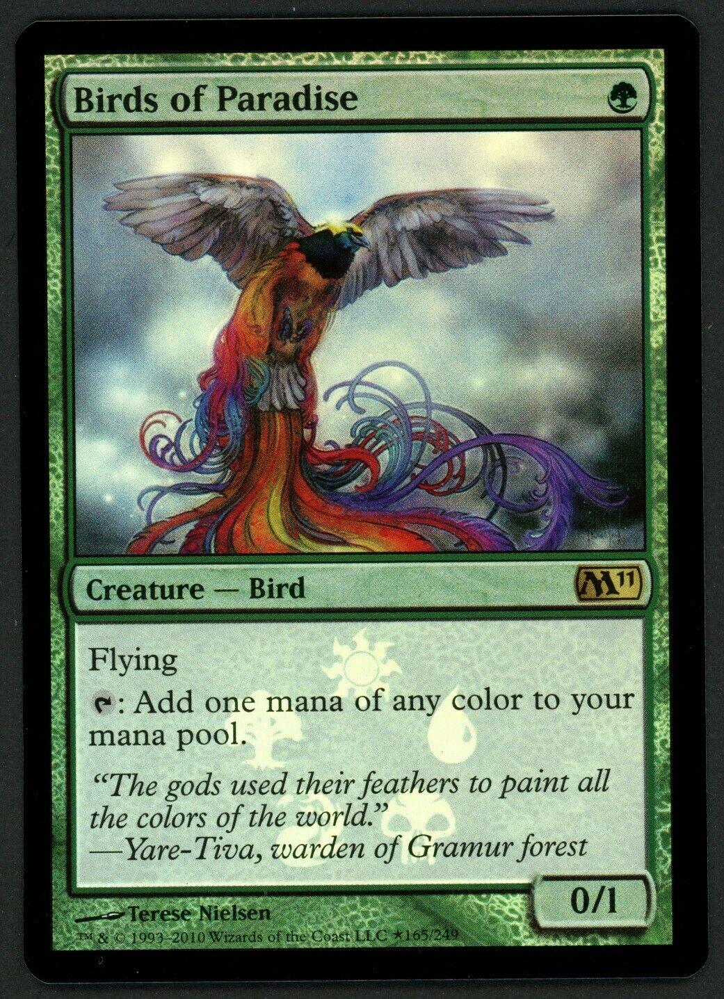Birds of Paradise