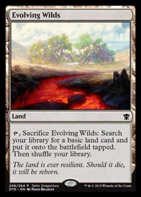 Evolving Wilds