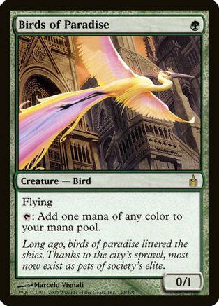 Birds of Paradise [Foil]