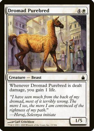 Dromad Purebred [Foil]